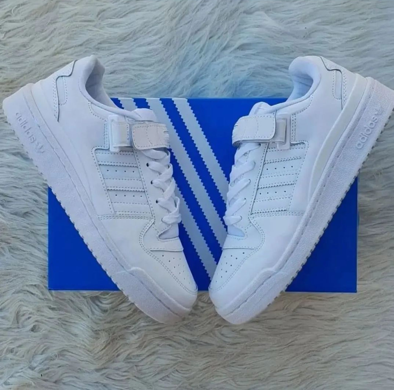 Adidas Forum low Blanche